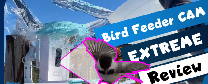 birdfy thumbnail